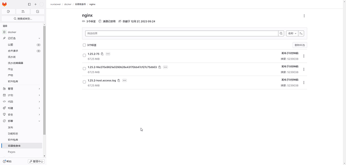 gitlab-runner-job-19