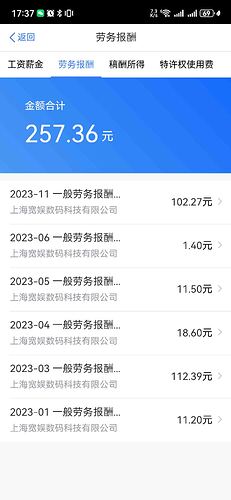 2023年收入纳税明细