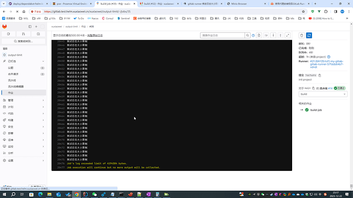 gitlab-runner-job-10