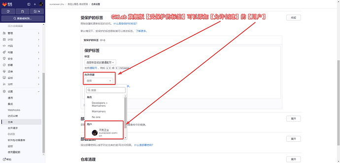 repository-protected-branches-tags-6
